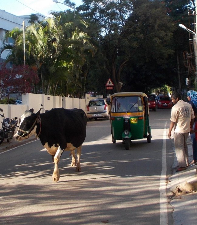 Bangalore Street Scene - photo by Mick