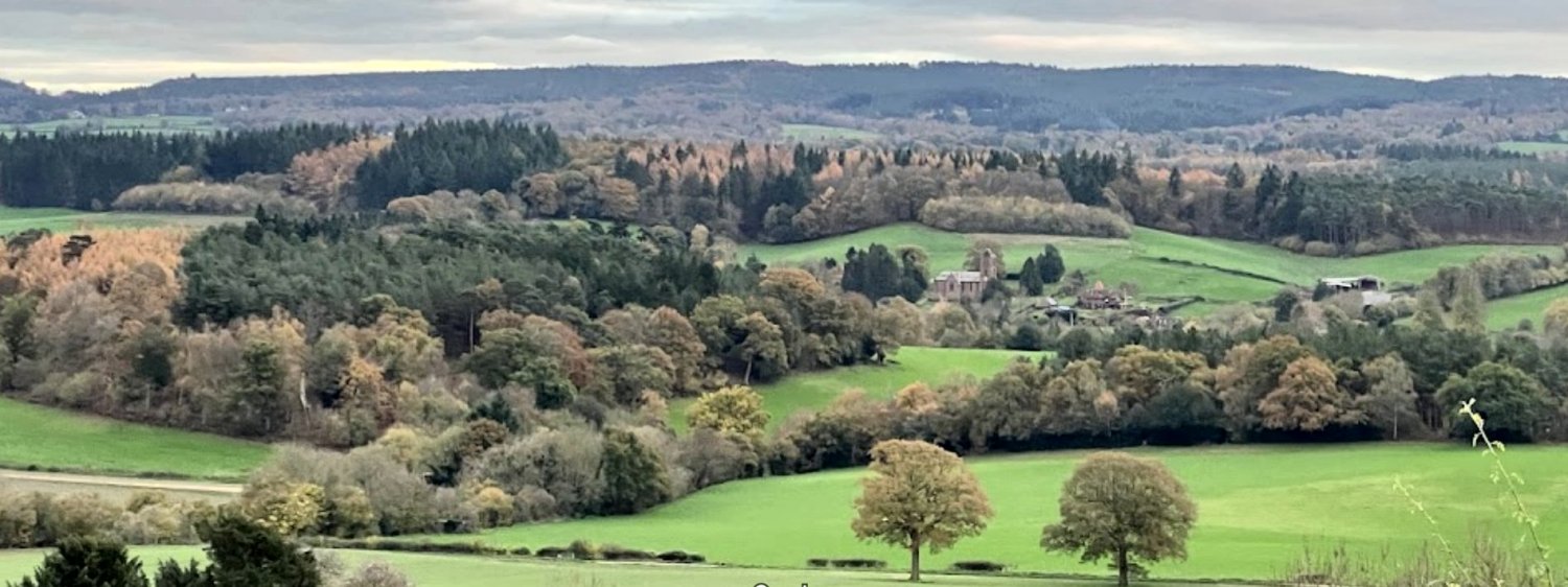 View from Newlands Corner, Surrey. British blues guitarist Mick Clarke - Rockfold Studio