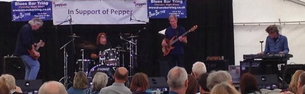 Mick Clarke at Tring Beer and Blues - Photo by Derek White